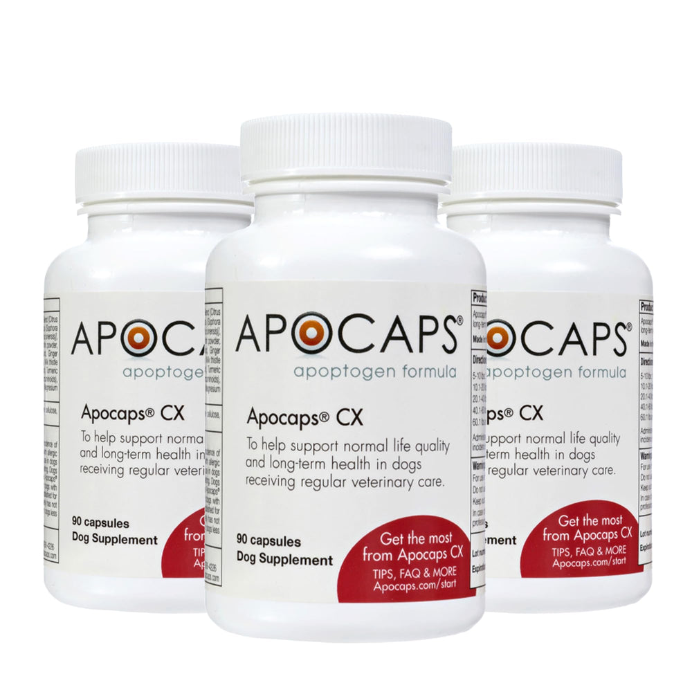 Apocaps CX pour chiens – bouteille de gélules faciles à doser au quotidien
