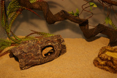 AQUA KT cache-arbre-creux terrarium: ajout décoratif discret et fonctionnel.