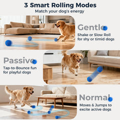 Aquamorph balle interactive mouvement automatique pour divertir chiens à l'intérieur comme dehors.