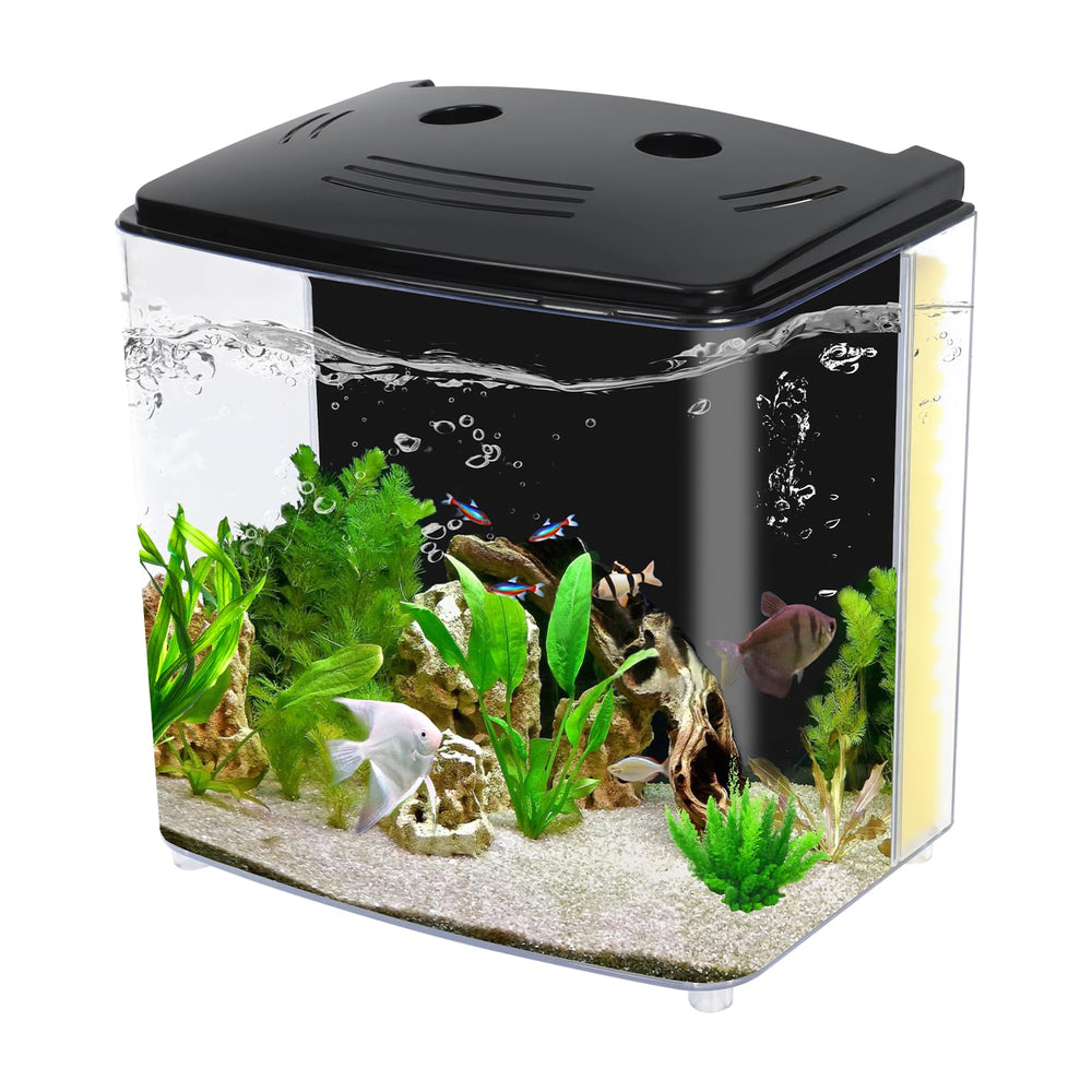 AQUANEAT bac aquarium rectangulaire 4,5 litres, parfait pour Betta et petit espace.