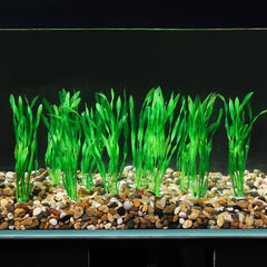 Nettoyage facile AQUANEAT – rinçage rapide des plantes artificielles d'aquarium