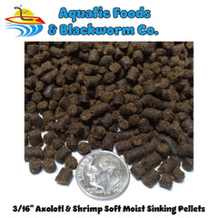 Texture humide et homogène des pellets pour axolotl Aquatic Foods Inc.