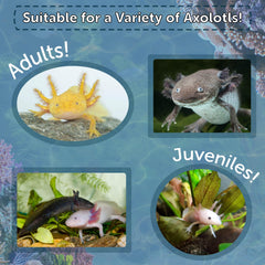 Pellets d'aquarium Axolotl par Aquatic Foods Inc. adaptés aux petits animaux.
