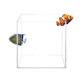 Aquatop Cube : vue generale du bac avec clarté exceptionnelle pour observation.