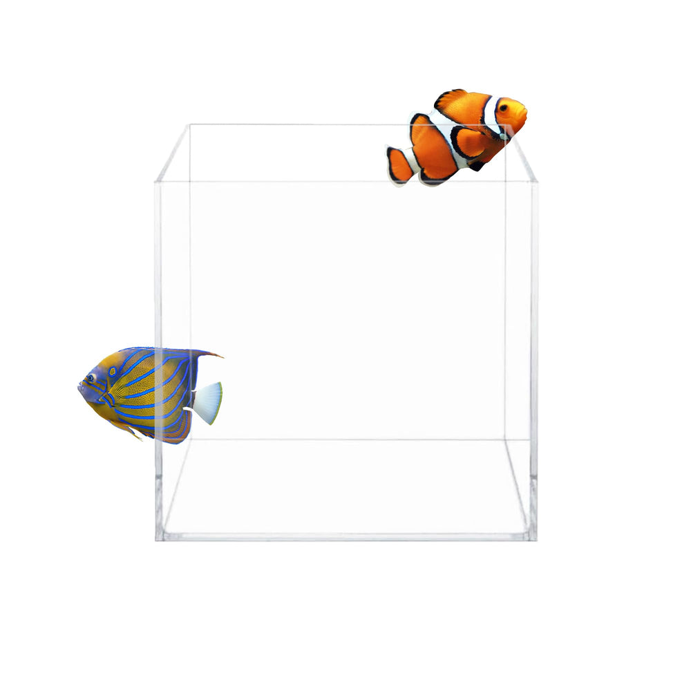 Le cube Aquatop en verre ultra clair offre une visibilité exceptionnelle en eau douce et salée.