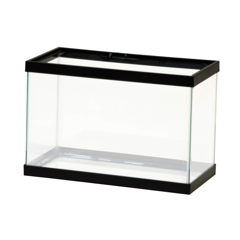 Aqueon All Glass AAG10002, petit aquarium environ 9,5 litres, idéal pour démarrer l'aquariophilie.