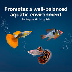 Aqueon AquaPacs : filtration facilitée en liant les particules.