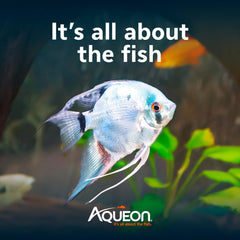 Aqueon Cichlid Food: pellets moyens plan dose pour croissance et couleur naturelle.