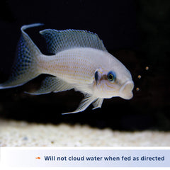 Ingrédients premium d'Aqueon Cichlid renforçant vitalité et couleur.