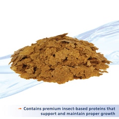 Ingrédients Nutrinsect: daphnies et insectes pour une alimentation quotidienne nutritive.