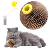 AREIIA Balle Catnip Chat – jouet stimulant pour chats et jeu interactif.