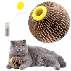 AREIIA Balle Catnip Chat – jouet stimulant pour chats et jeu interactif.