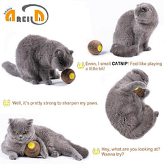 AREIIA Balle Catnip Chat – ouverture facilitant le remplissage du catnip.