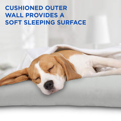 Arf Pets Tapis sans eau ni électricité, solution simple et pratique.