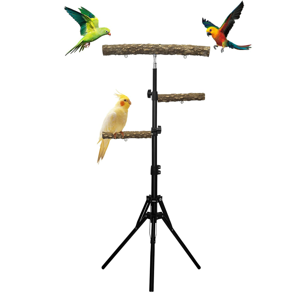 Arfubye perche oiseaux trois niveaux : espace d'exploration riche et sécurisée.