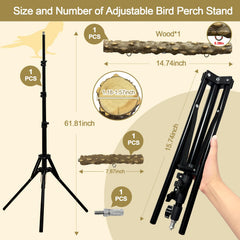 Arfubye structure métallique robuste : stabilité durable pour les sessions d'entraînement.