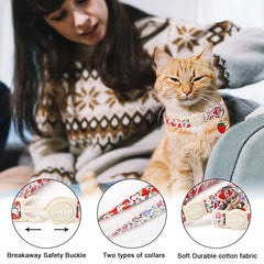Collier chat ARING PET boucle securite et clochette – meilleur repérage.
