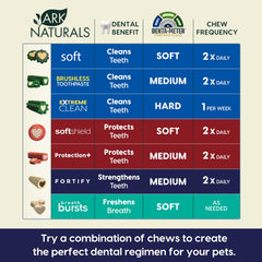 ARK NATURALS Fortify crêtes-nettoyage-gencives – action le long de la ligne gingivale.