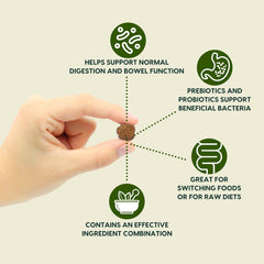 ARK NATURALS Gentle Digest : étiquette ingrédients, prébiotiques utiles.
