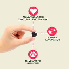 ARK NATURALS Gray Muzzle – chien senior recevant les friandises, routine quotidienne possible.