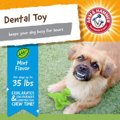 Forme dinosaure Arm et Hammer Denta-Saurus T-Rex qui occupe le chien lors des sessions de mastication
