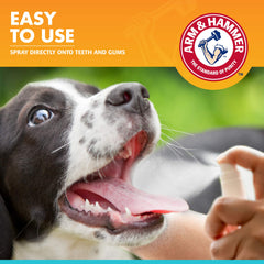 Bouteille Arm & Hammer compacte 4 oz prête pour les soins dentaires canins.