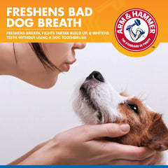 Brume dentaire Arm & Hammer pour chien, fraîcheur après les repas.