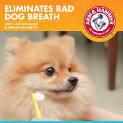 Tube de dentifrice Arm & Hammer poulet - routine dentaire simplifiée pour chiens.