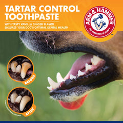 Pâte dentifrice vanille-gingembre Arm & Hammer pour chiots, aide à combattre la mauvaise haleine.