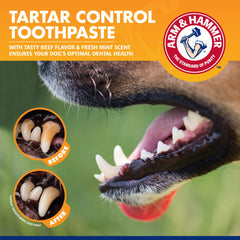 Doigt-brosse Arm & Hammer pour chiens.