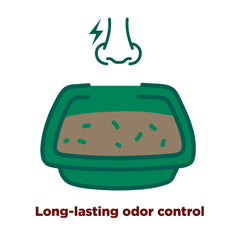 Litière Forever Fresh aux huiles essentielles, sûre et douce pour les chats.
