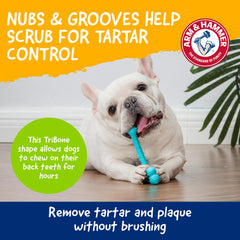 Arm & Hammer Nubbies T-Bone, gourmandise au beurre d'arachide, stimule la mastication.
