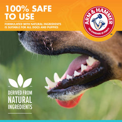 Arm & Hammer pour Animaux: chiot en brossage doux avec dentifrice enzymatique.