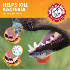 Arm & Hammer pour Pets – brosse doigt dentaire chien, usage quotidien