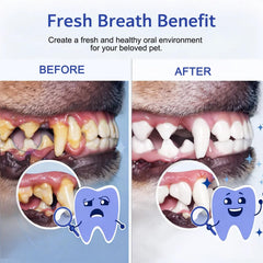 Aroven Dental Dog – Formule sans parfum, convient aux papilles sensibles
