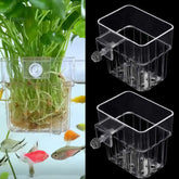 ARREBOL support plante aquarium haut transparent, ensemble 2 pièces, fixation fiable.