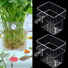 ARREBOL support plante aquarium haut transparent, ensemble 2 pièces, fixation fiable.