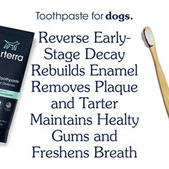 Dentifrice Arterra Pet Science sans fluor en tube — routine quotidienne