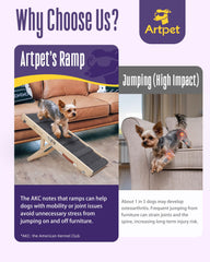 Artpet rampe teckel anti-glisse : surface adherente pour des pas surs.