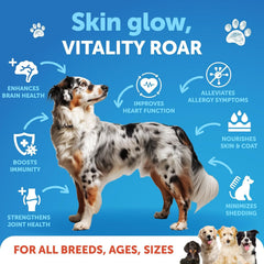 Artullano huile saumon pour chien, poil brillant et pelage sain.