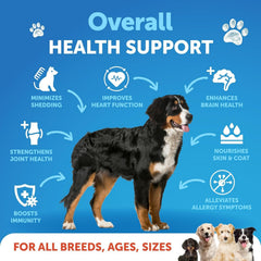Artullano Omega3 pour chien – versement facile pour dose quotidienne