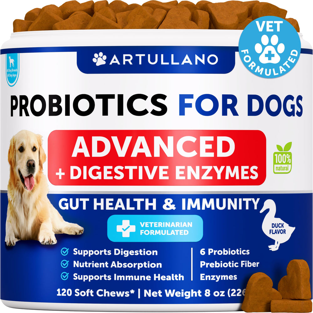 Artullano Probiotiques pour chien: bouchées savoureuses soutenant la santé intestinale.