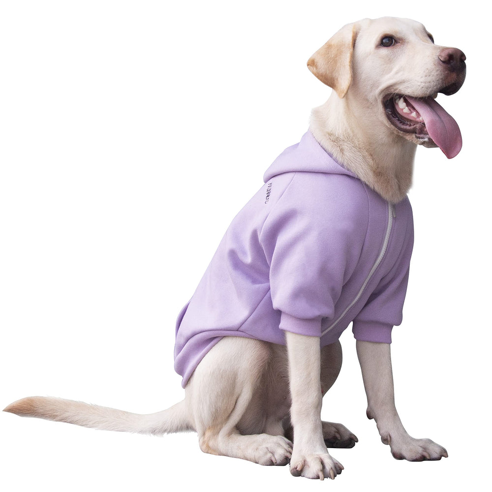 ARUNNERS manteau capuche pour chien 8XL violet, balades hivernales agréables