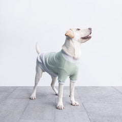 ARUNNERS pull-chien bloc couleur vert-gris, style tendance pour promenades quotidiennes.