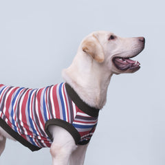 ARUNNERS T-shirt pour chien 9X-Large, détail tissu coton, durabilité et douceur.