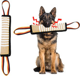 ASOCEA jouet à tirer pour chien avec sifflement, attire l'attention et favorise le jeu.