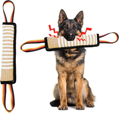 ASOCEA jouet à tirer pour chien avec sifflement, attire l'attention et favorise le jeu.