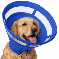 Collier ASENKU bleu pour chien, cône translucide et confortable, vue de face.