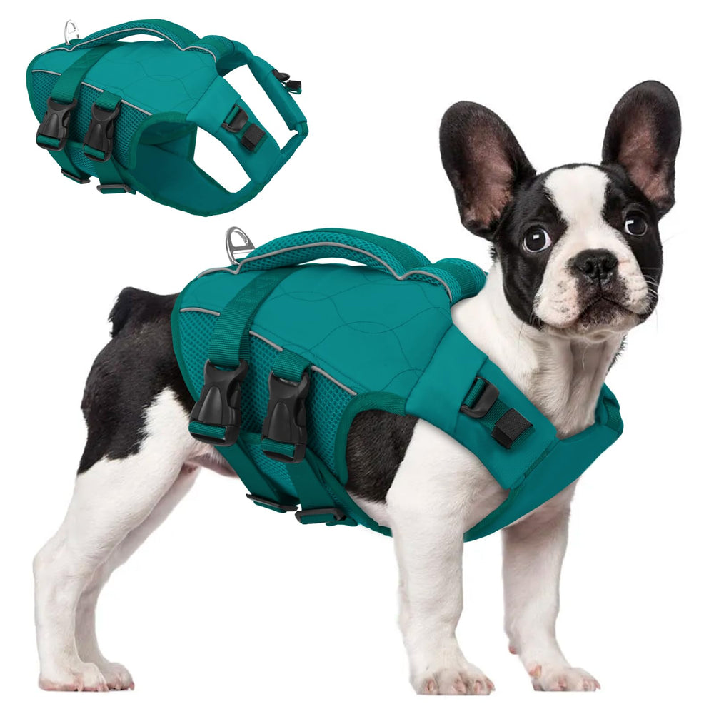 Gilet ASENKU pour chien, haute flottabilité, idéal pour la baignade