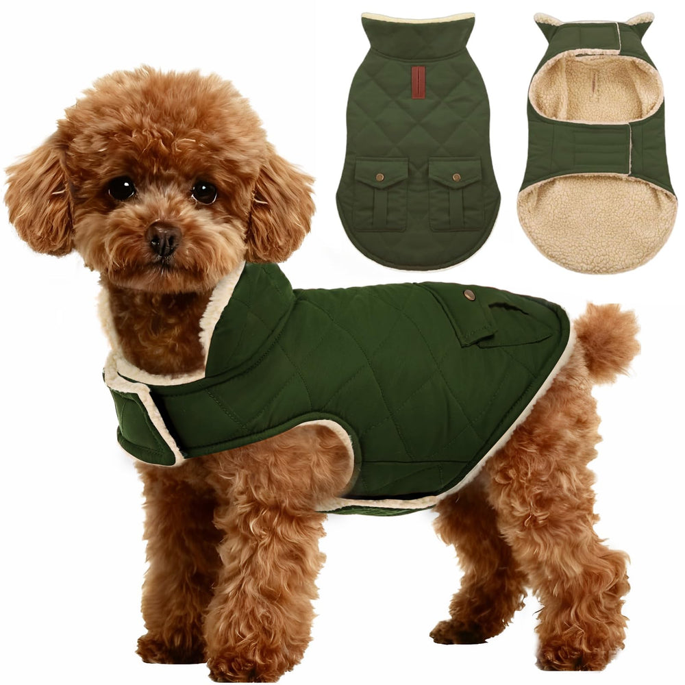 ASENKU manteau chien hiver imperméable pour sorties extérieures.